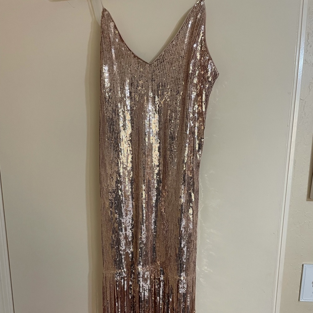 Fringe Sequin Dress